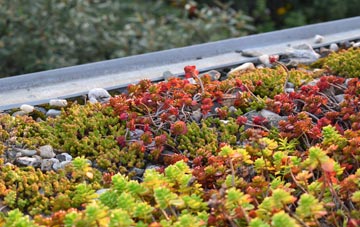 the cost of Pennymoor green roof installation