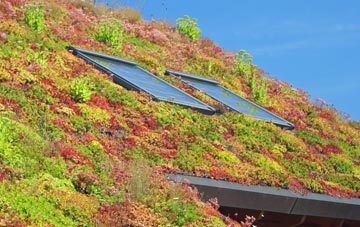 Pennymoor living roof systems